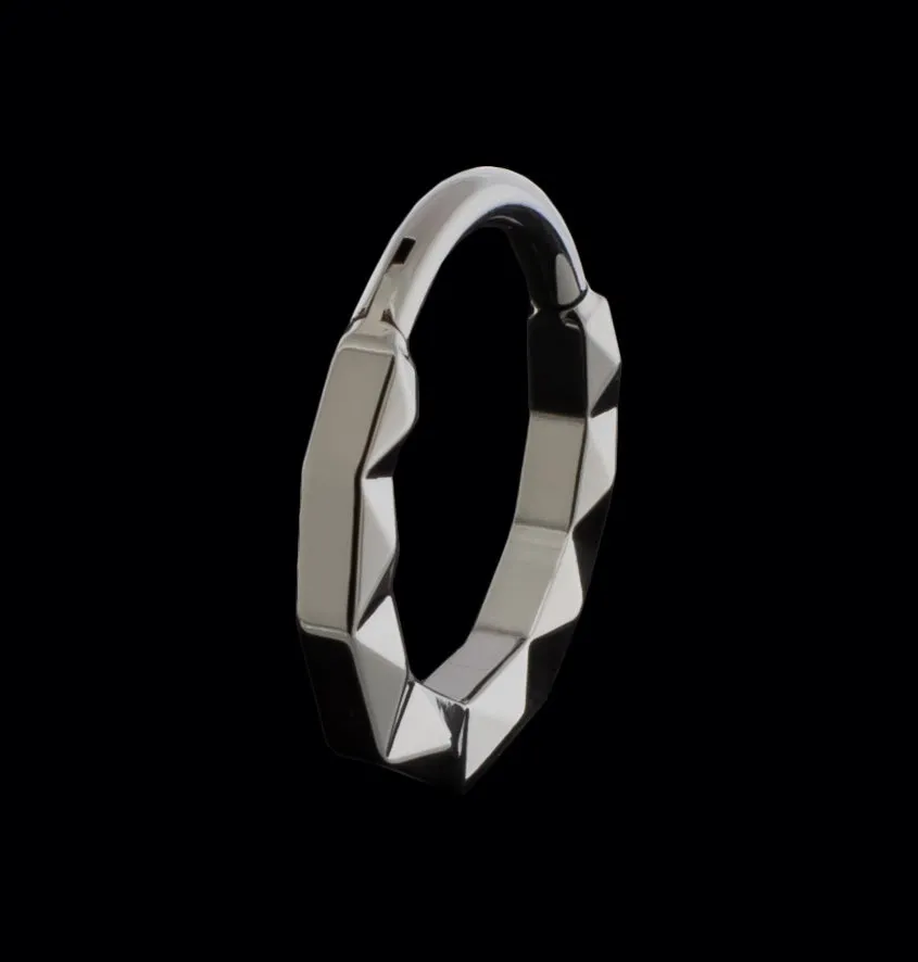 Linden - Titanium Hinged Ring