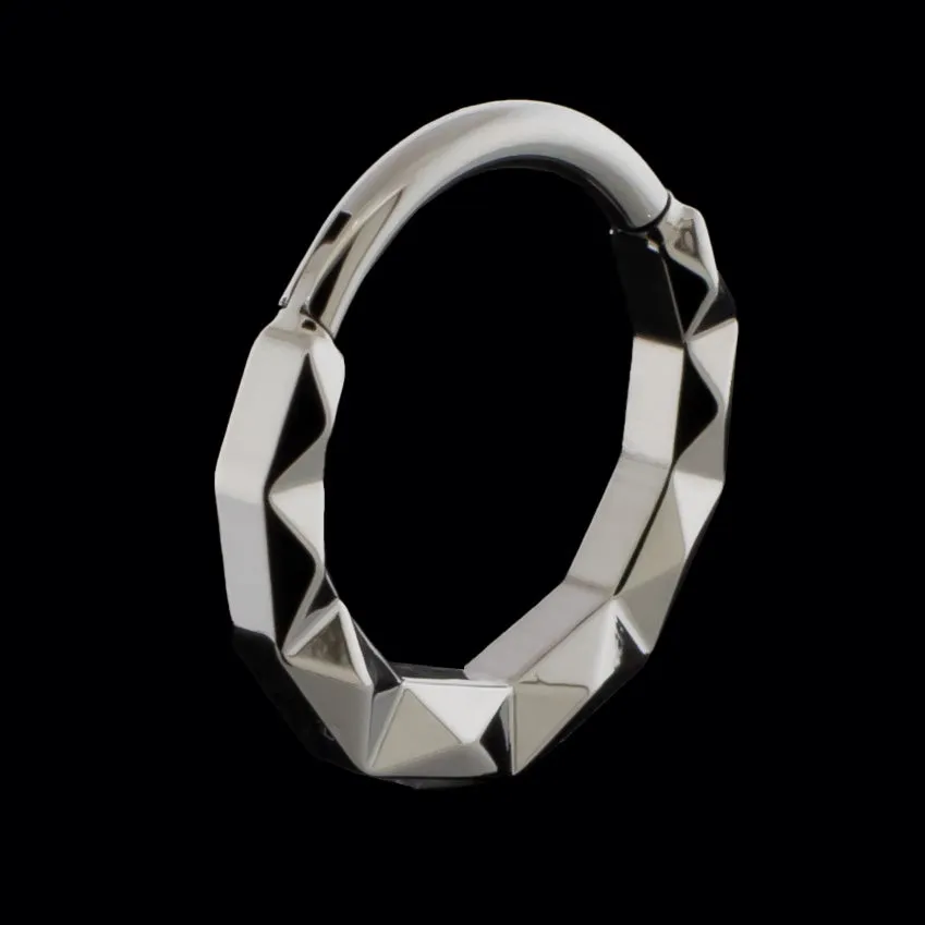 Linden - Titanium Hinged Ring